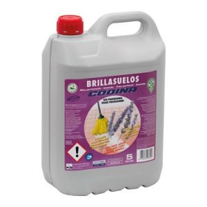LIMPIADOR SUELOS PROFESIONAL